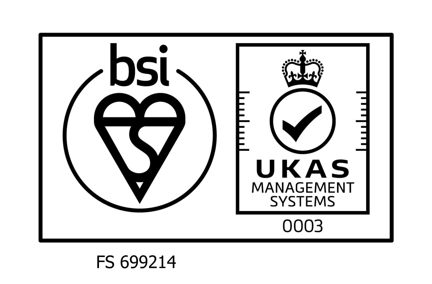 BSI Logo