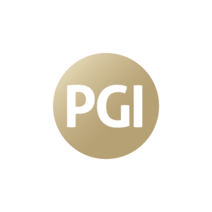 PGI Cyber Logo