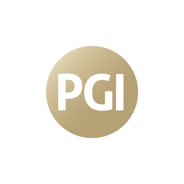 PGI Cyber Logo