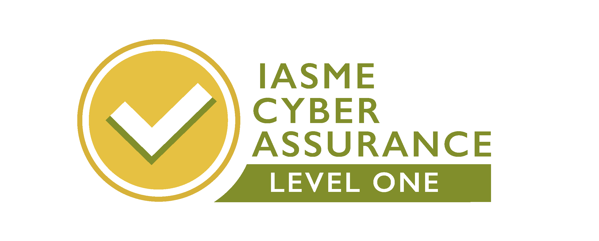 ASME Cyber Assurance Level 1